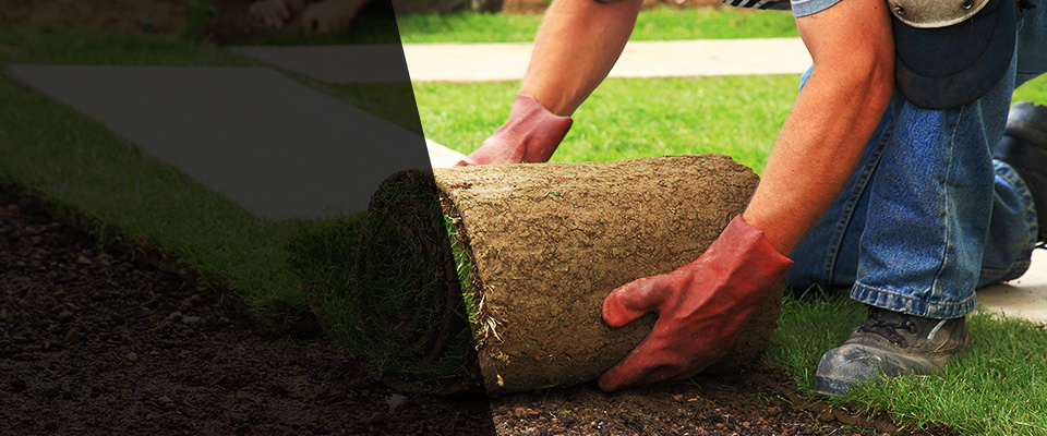Paragould Landscapers